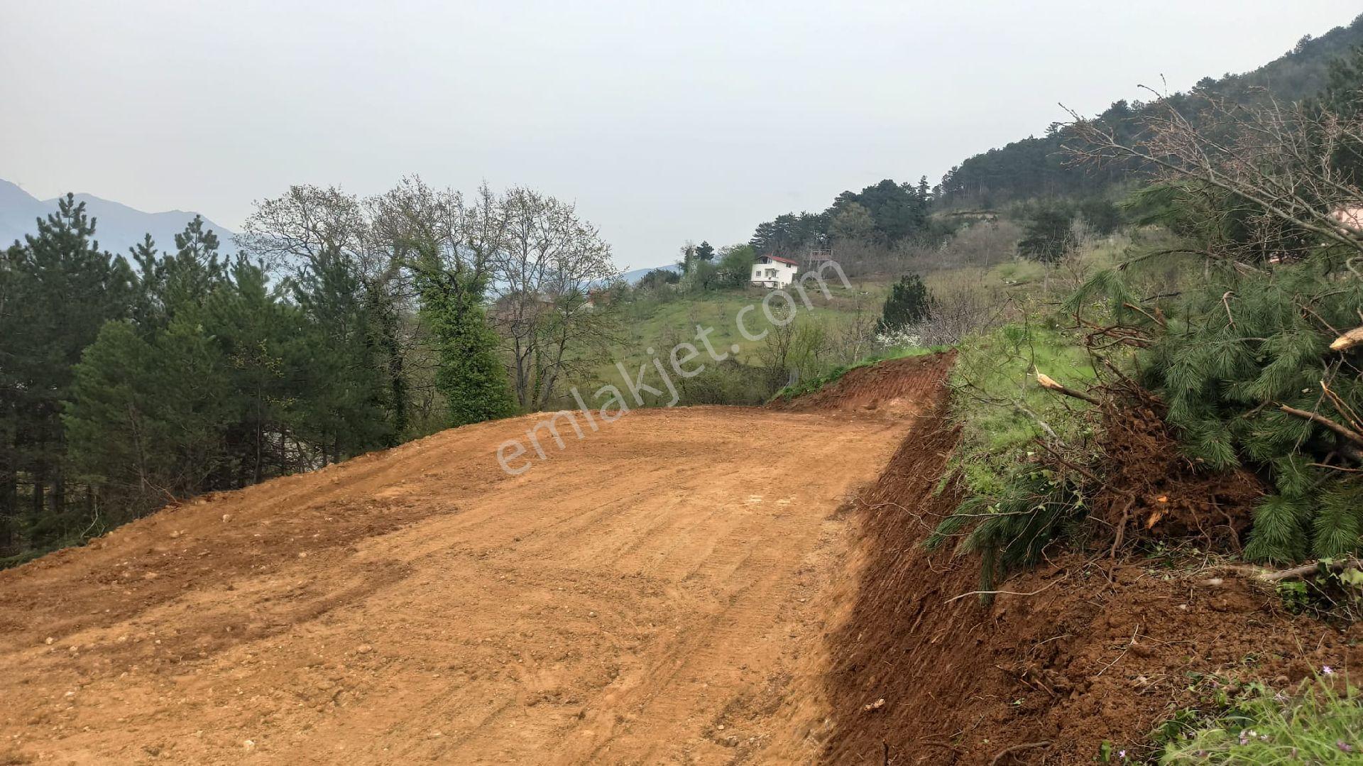 Sakarya Pamukovada Kelepir Arsalar - Görsel 13