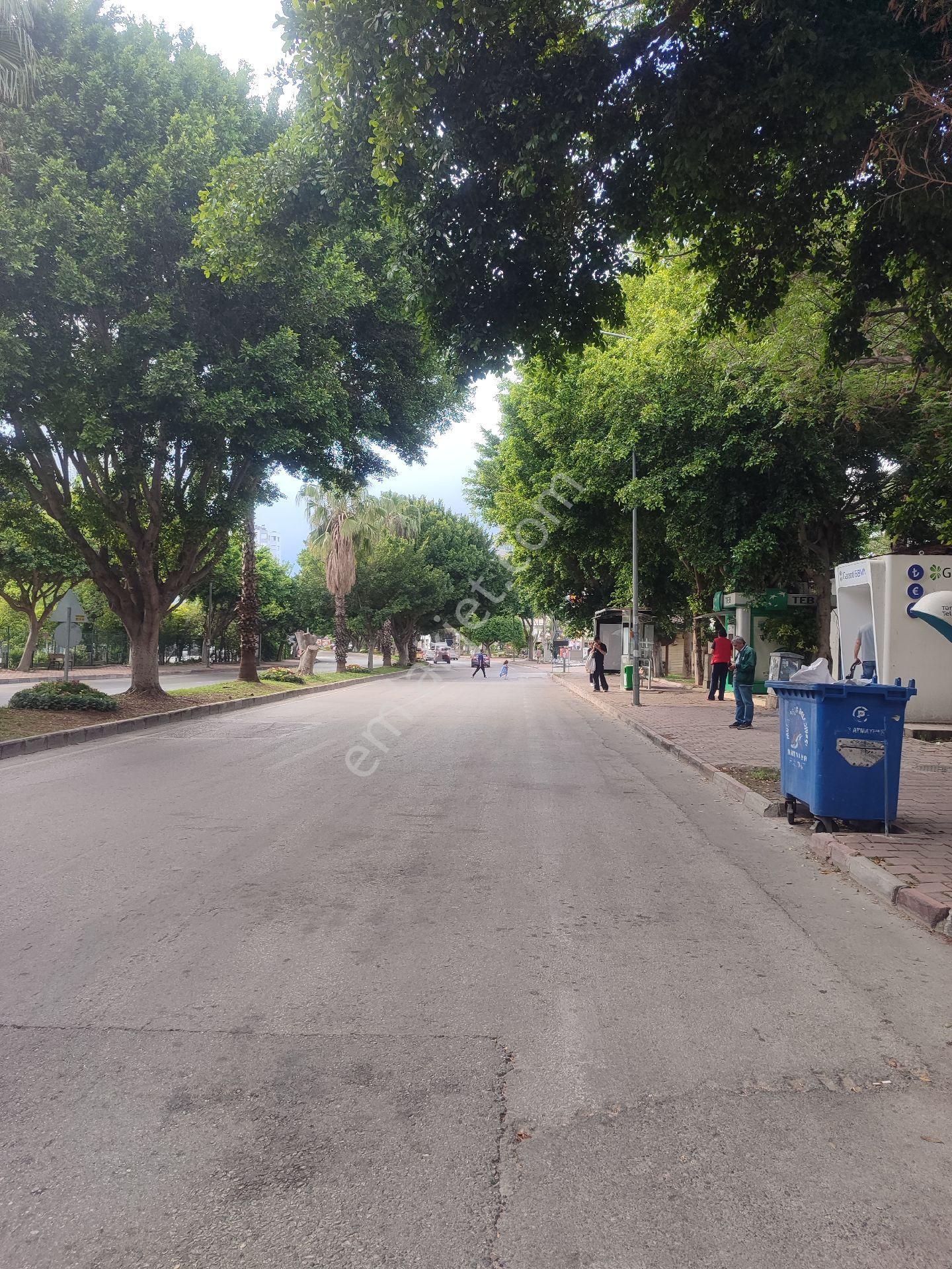 Kiralık İşyeri Metinkasapoğlu Cadde Üzerinde - Görsel 15