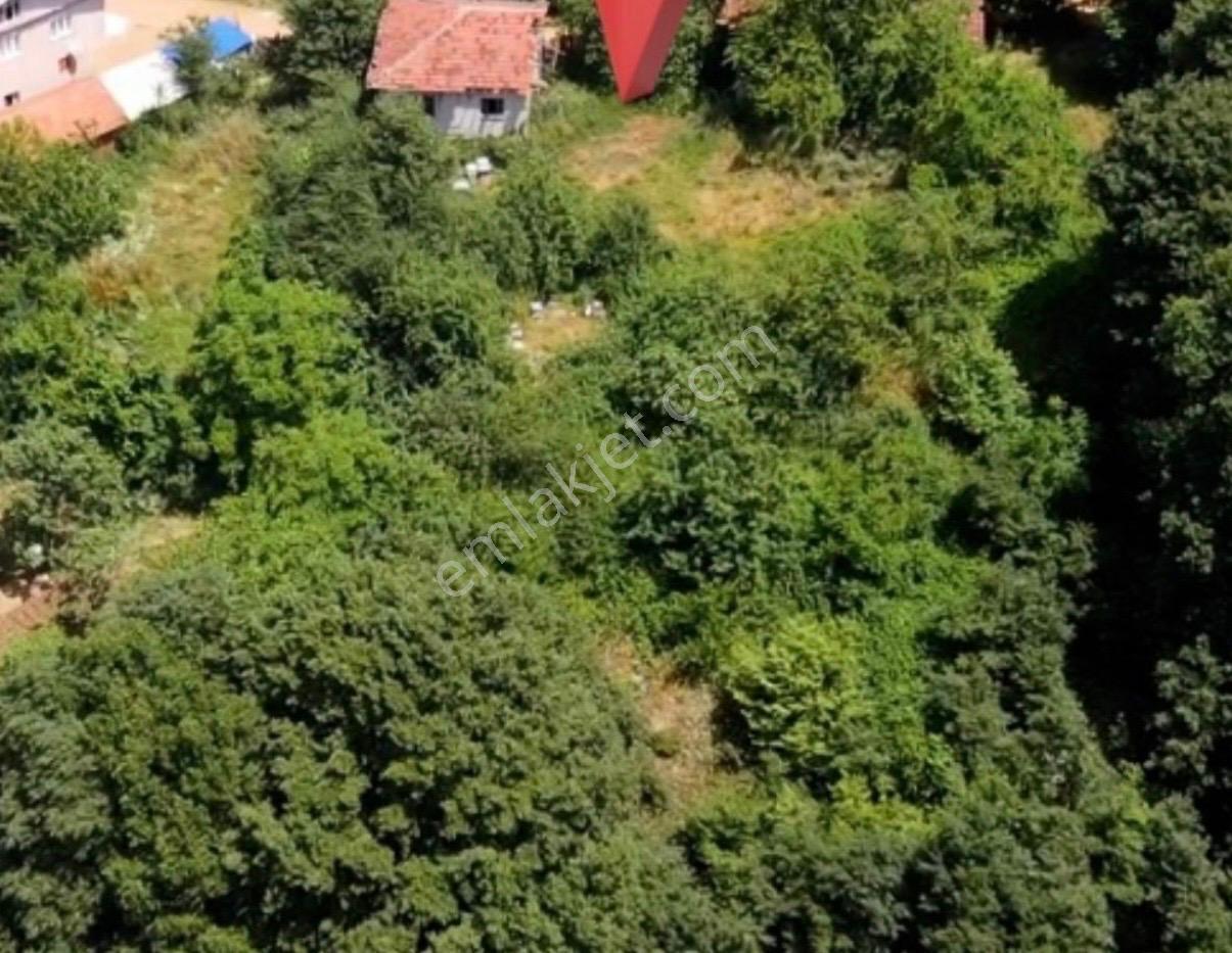 Bursa Kurşunlu'da Satılık Konut İmarlı Arsa Araç Takasına Uygun - Görsel 3