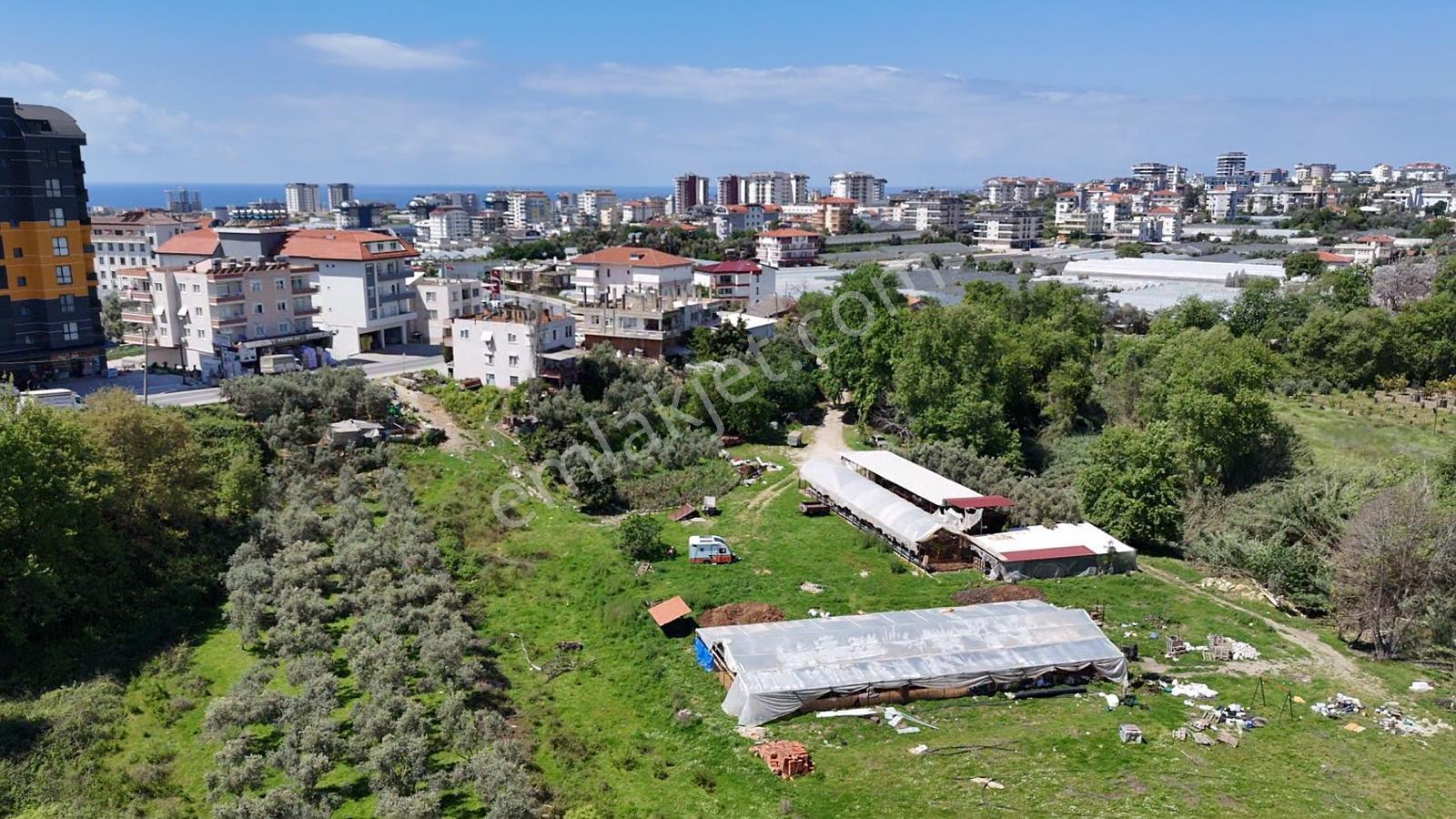 Alanya Payallar Da Yatırımlık Arsa - Görsel 2