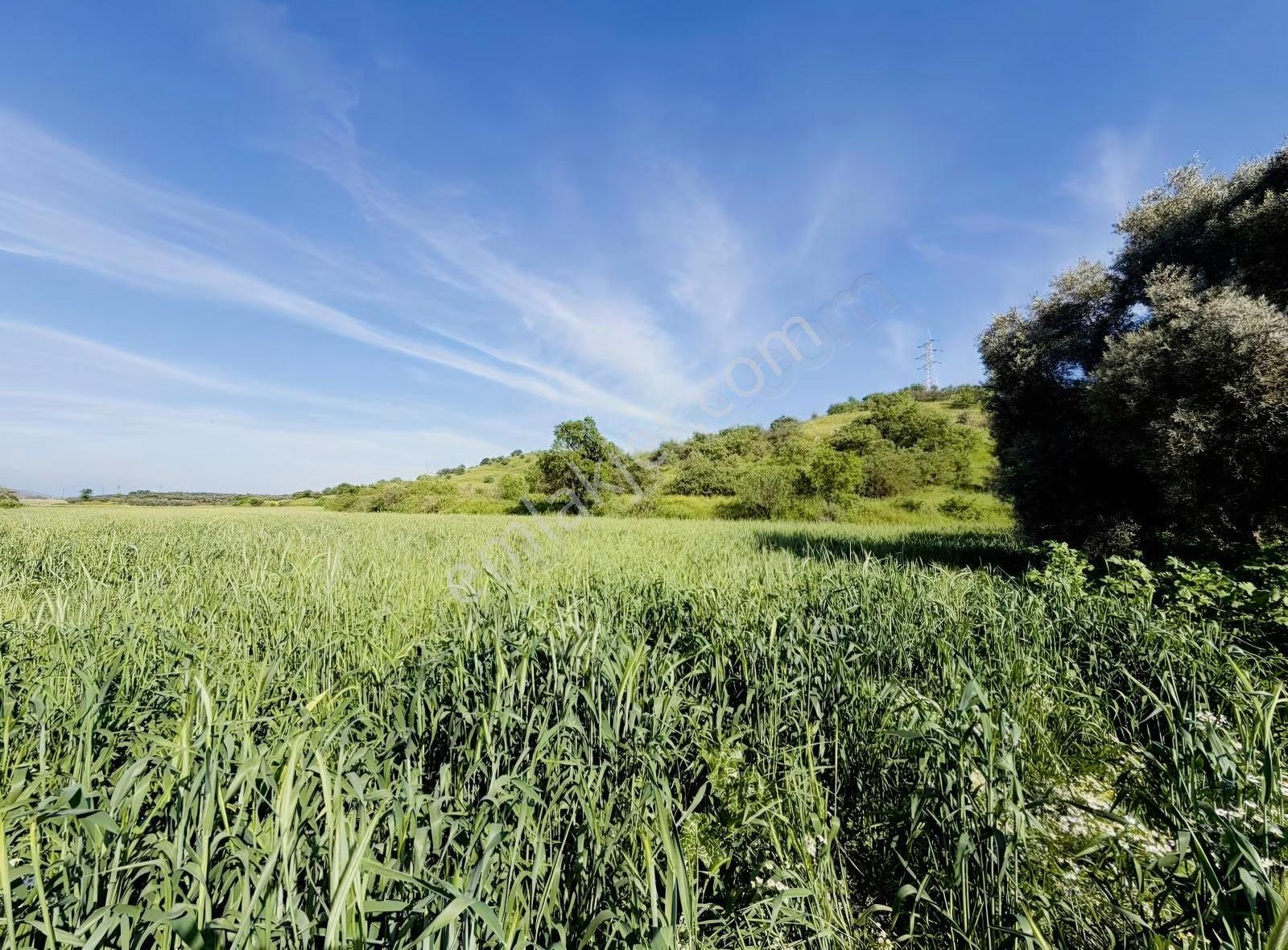 Pek Emlaktan Toki Yanı Satılık Tarla - Görsel 15