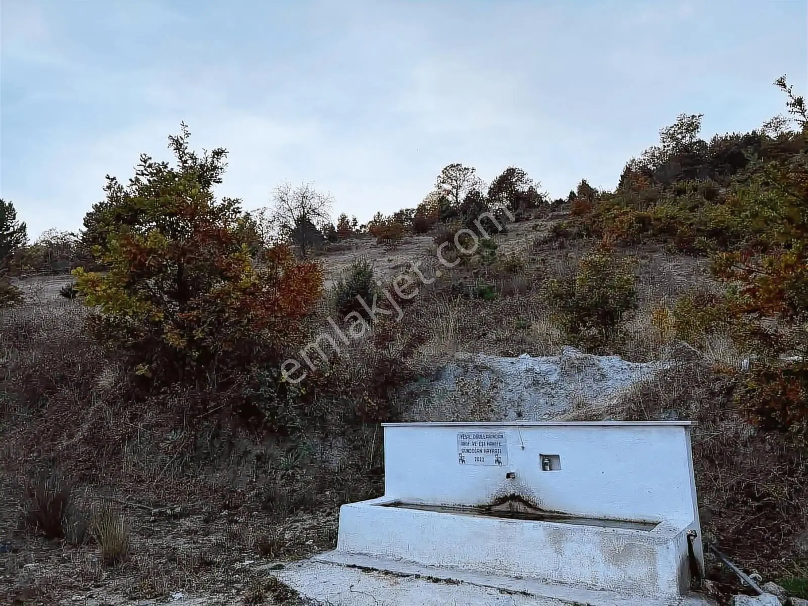 Deallifeden Balıkesir Dursunbeyde Asfalt Yola 73 M Cepheli Tarla - Görsel 3
