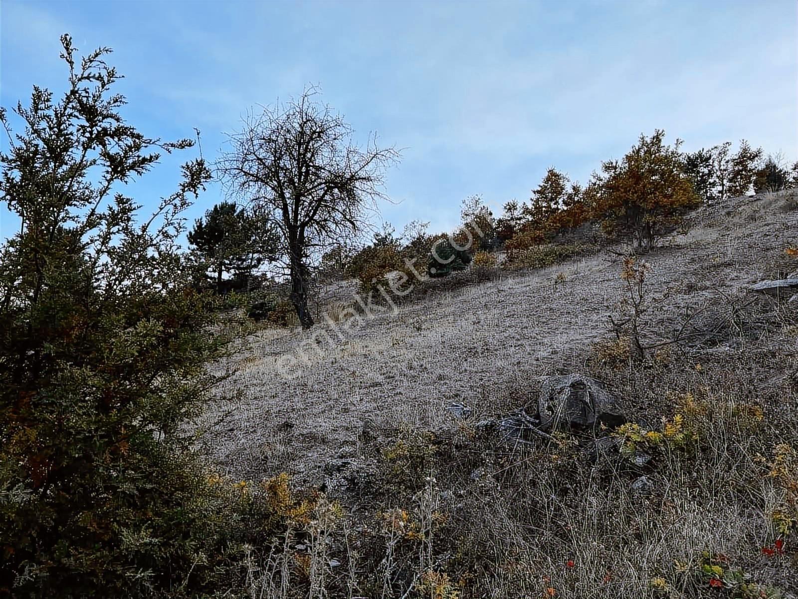 Deallifeden Balıkesir Dursunbeyde Asfalt Yola 73 M Cepheli Tarla - Görsel 7