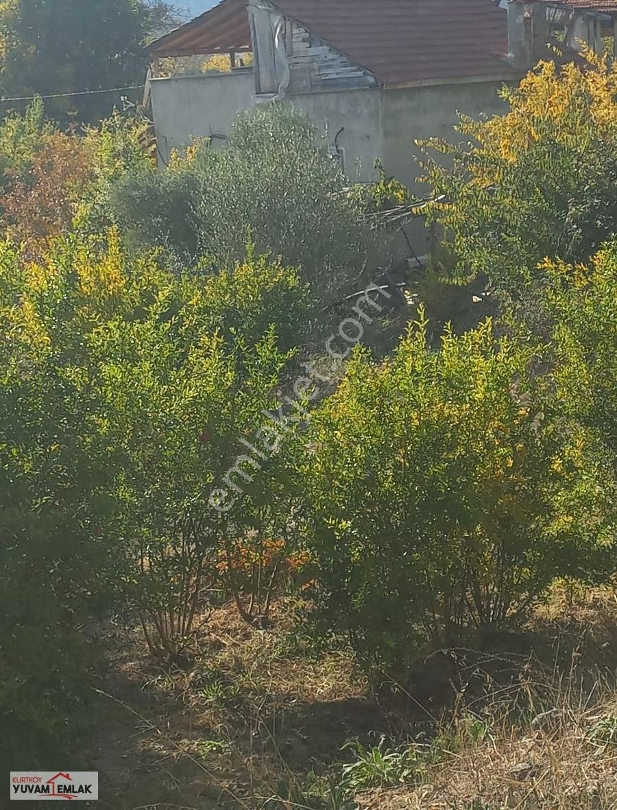 Bilecik İnhisar Asfalt Cephe Uygun Fiyata Arsa - Görsel 4