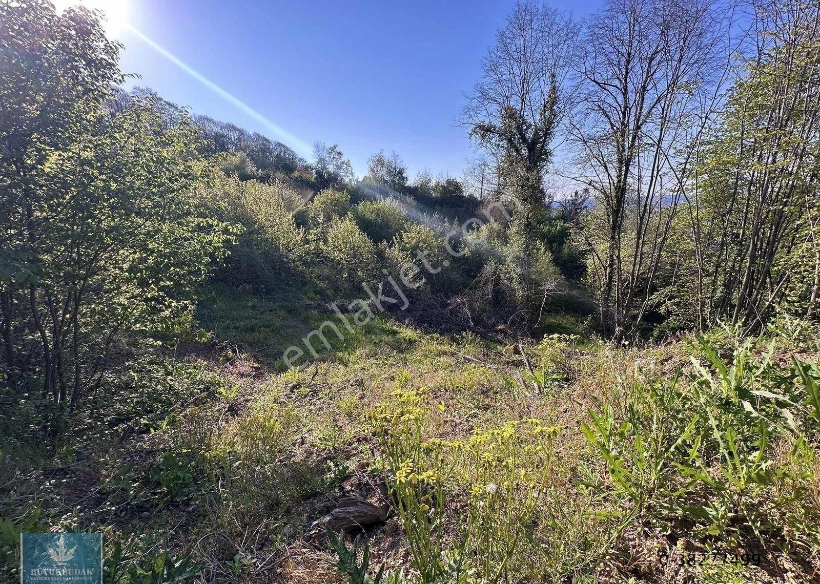 Şirinköyde Deniz Manzaralı Satılık İmarlı Müstakil Parsel - Görsel 30