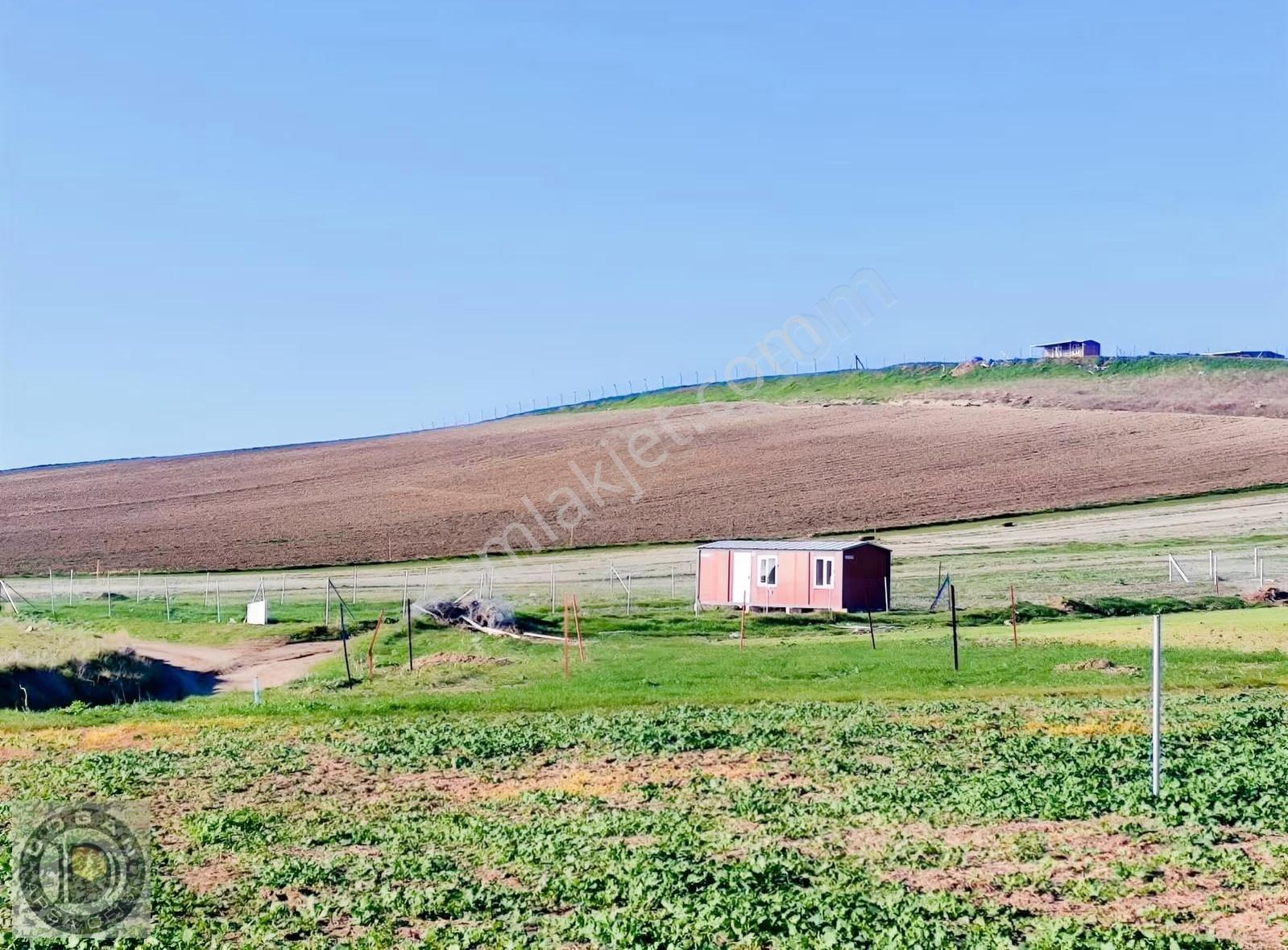 İstanbulun Yanı Başında Ful Deniz Manzaralı 500m2 Arsalar 450bin - Görsel 32