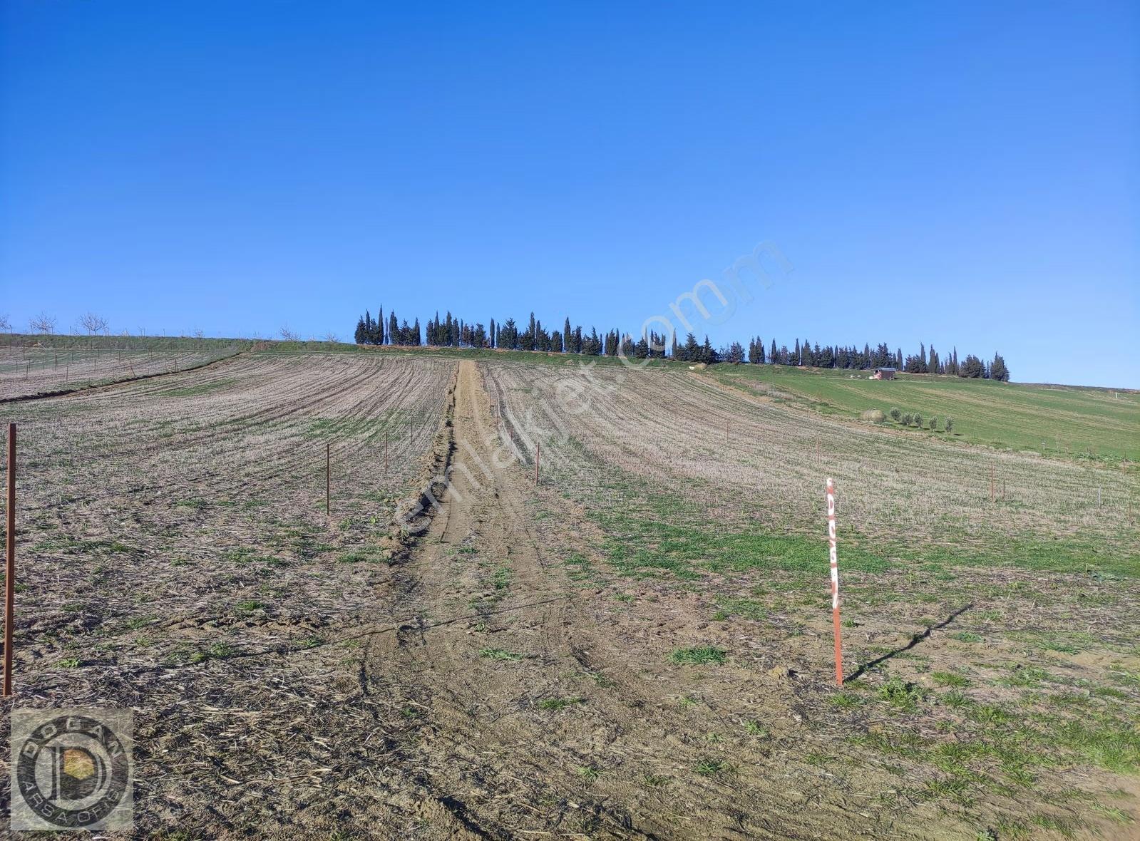 Tekirdağ Marmaraereğilisinde Ful Deniz Manzaralı Satılık Arsalar - Görsel 24