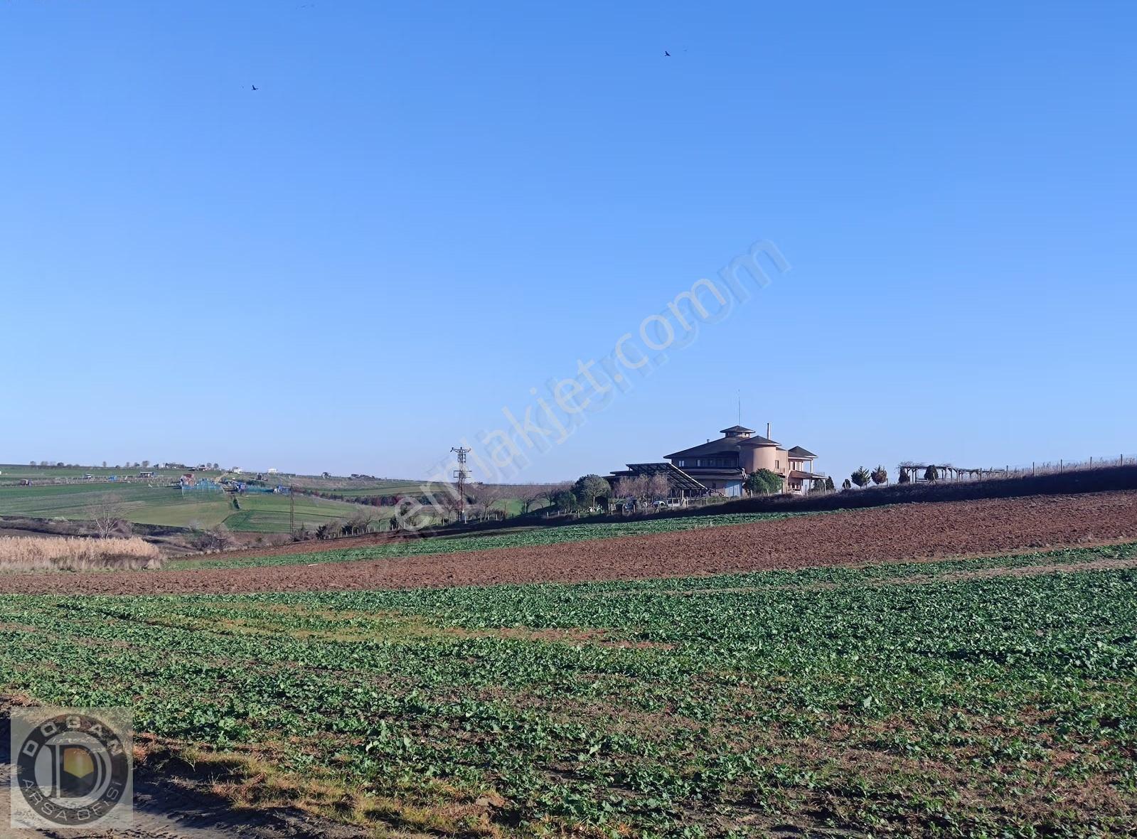Tekirdağ Marmaraereğilisinde Ful Deniz Manzaralı Satılık Arsalar - Görsel 16