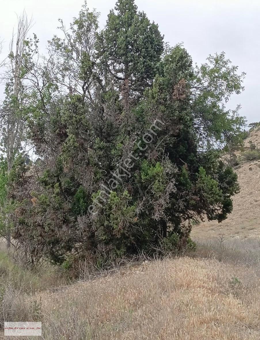 Kemer Kayı Köyünde Yerleşim Yeri İçinde 7500 M2 Suyu Mevcut - Görsel 11