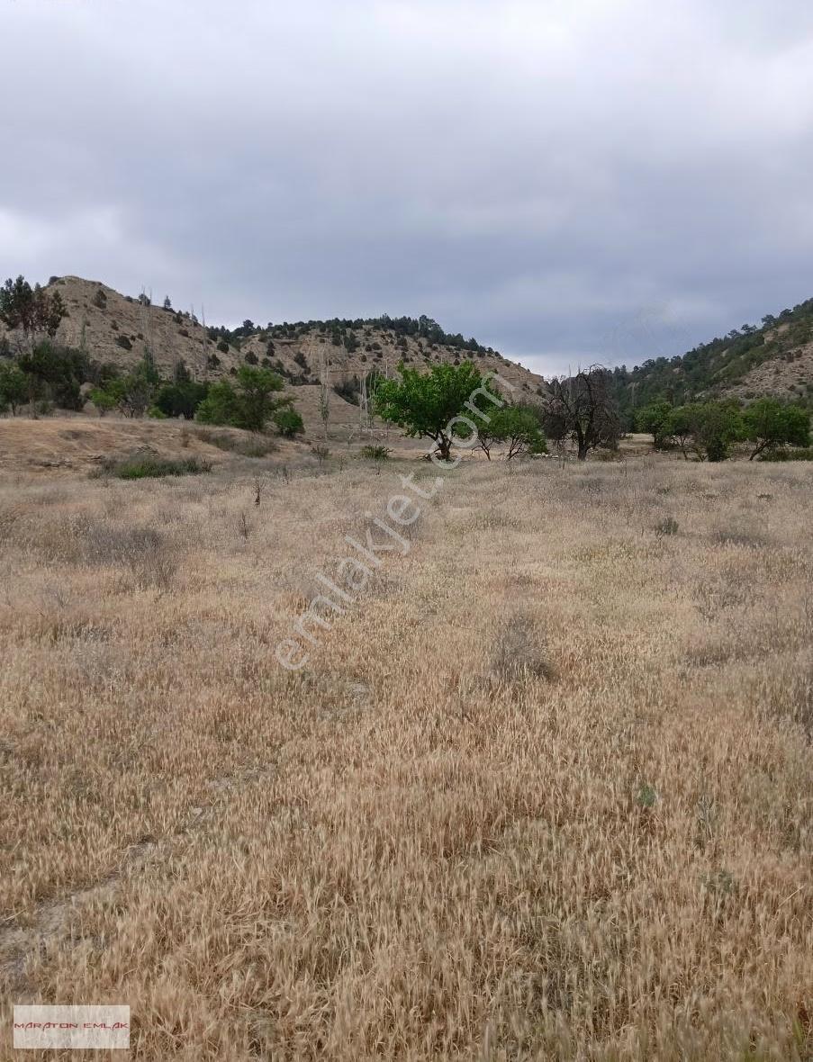 Kemer Kayı Köyünde Yerleşim Yeri İçinde 7500 M2 Suyu Mevcut - Görsel 4