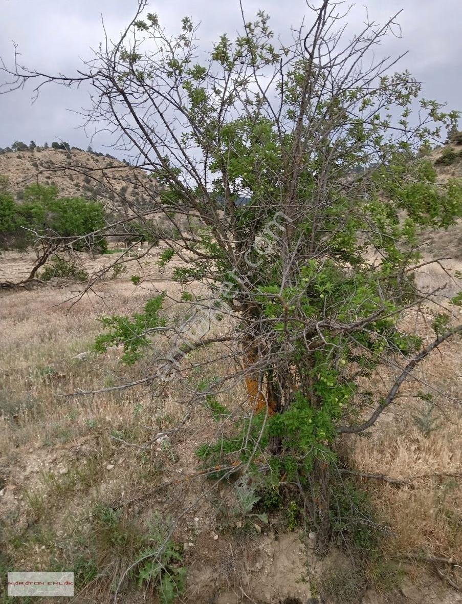 Kemer Kayı Köyünde Yerleşim Yeri İçinde 7500 M2 Suyu Mevcut - Görsel 18
