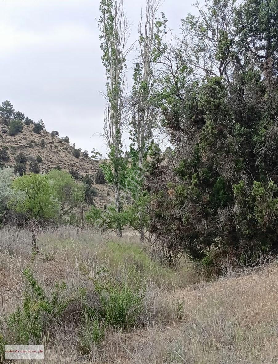 Kemer Kayı Köyünde Yerleşim Yeri İçinde 7500 M2 Suyu Mevcut - Görsel 19