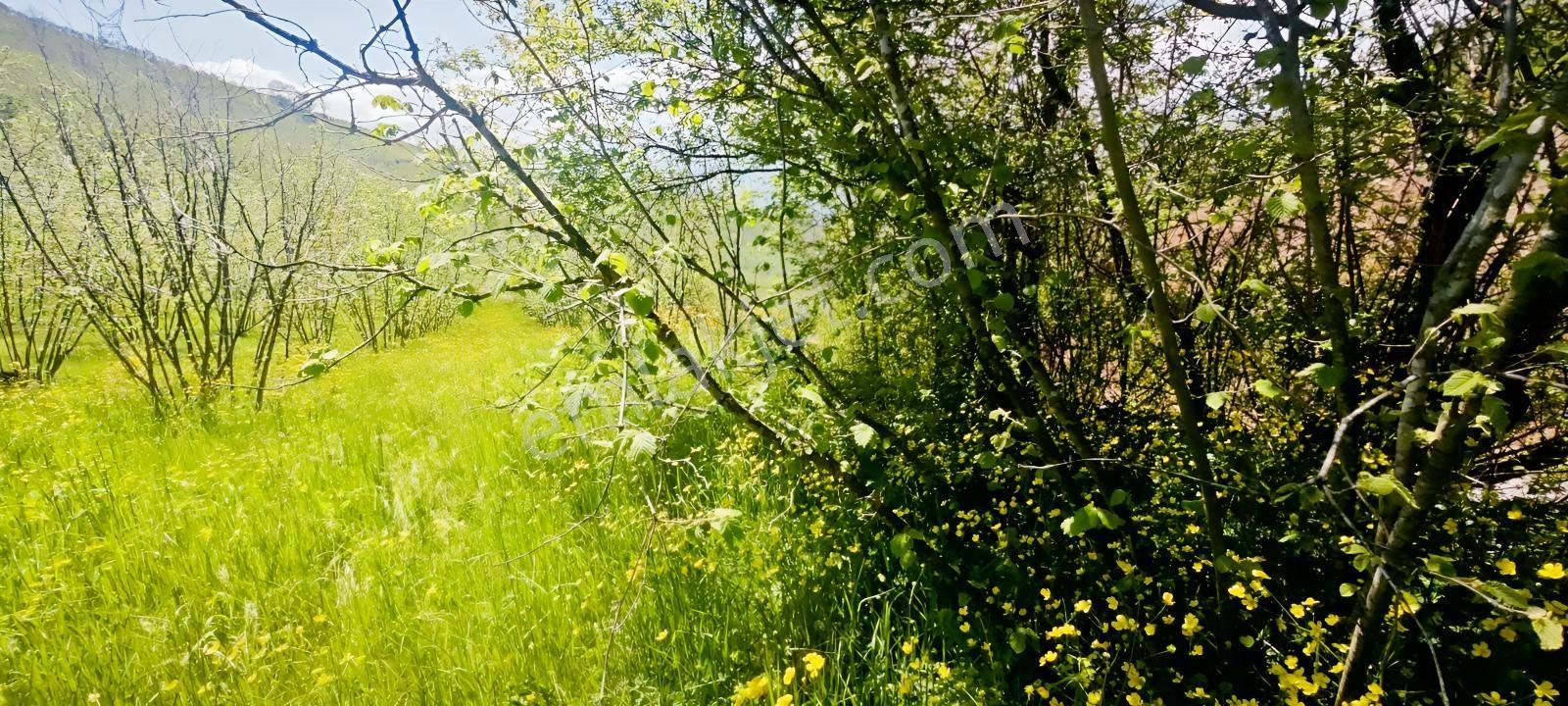 İmarlı Manzaralı Doğayla Başbaşa Arsalar - Görsel 23