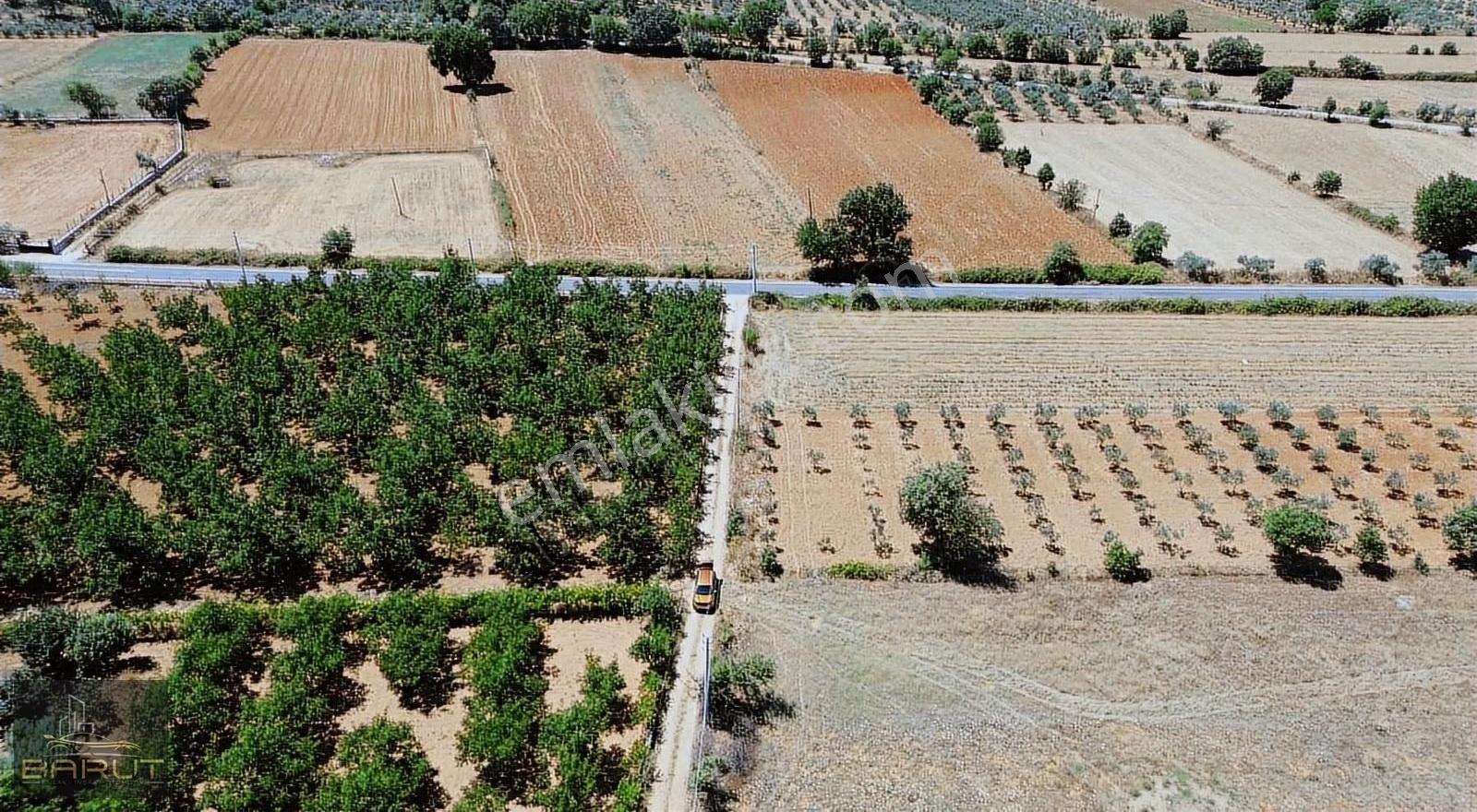 Muğla Menteşe Yerkesık Mahallesinde Satılık Arazi - Görsel 7