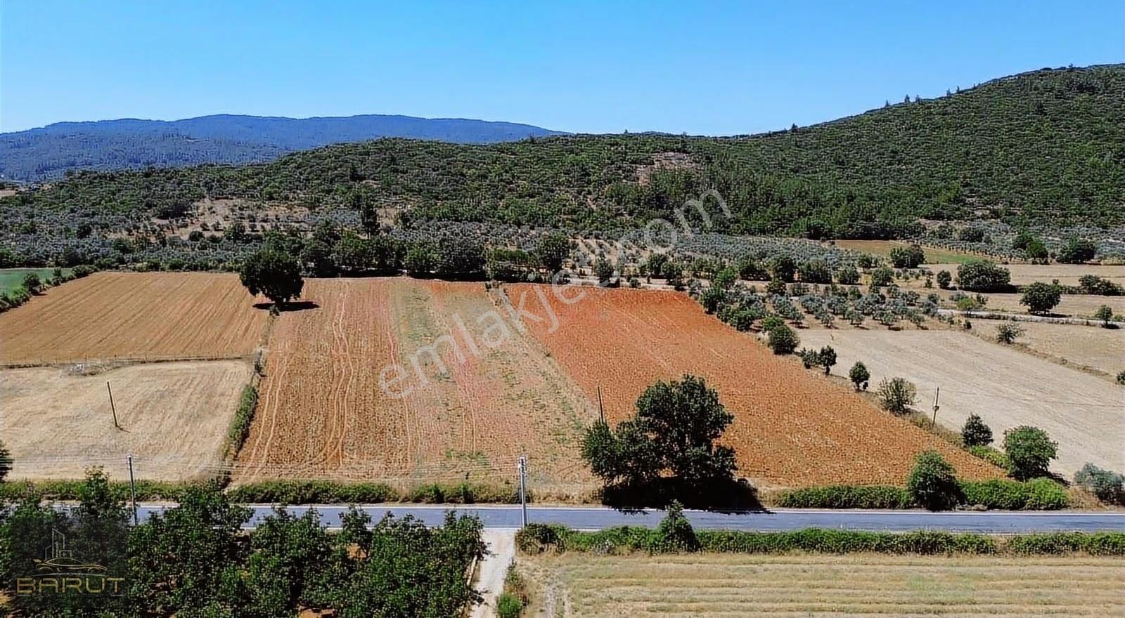 Muğla Menteşe Yerkesık Mahallesinde Satılık Arazi - Görsel 14