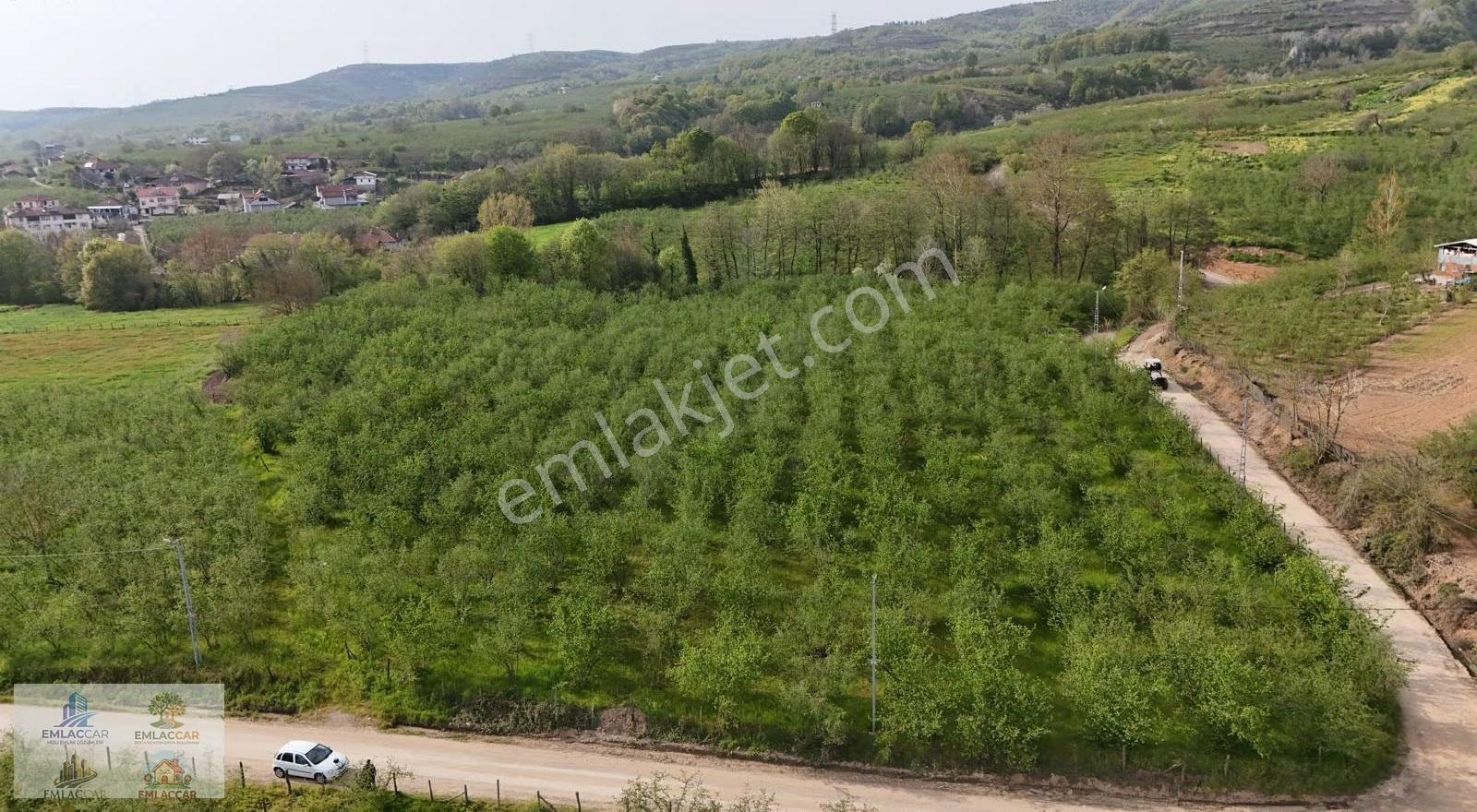 Hendek Kazimiye Mah. Satılık Köşe Parsel - Görsel 22