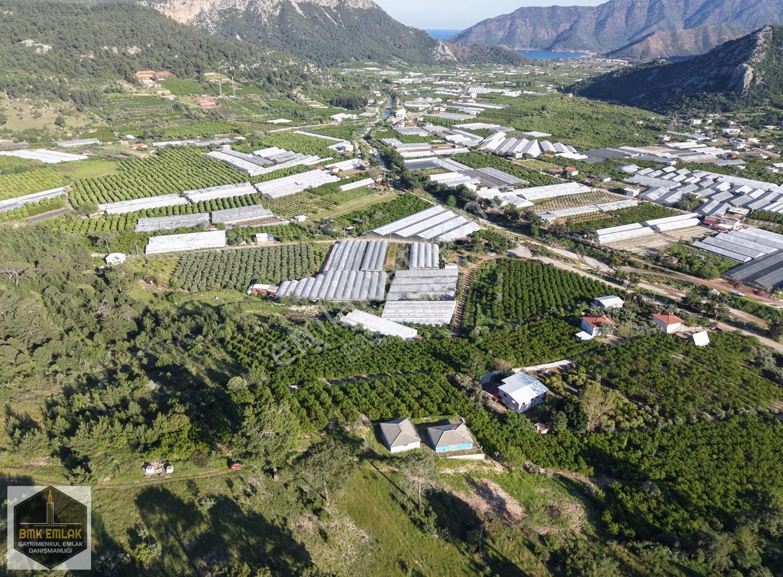 Bmkdan Adrasan'da Deniz Manzaralı 2 Ev + Nar Bahçesi Fırsatı - Görsel 17