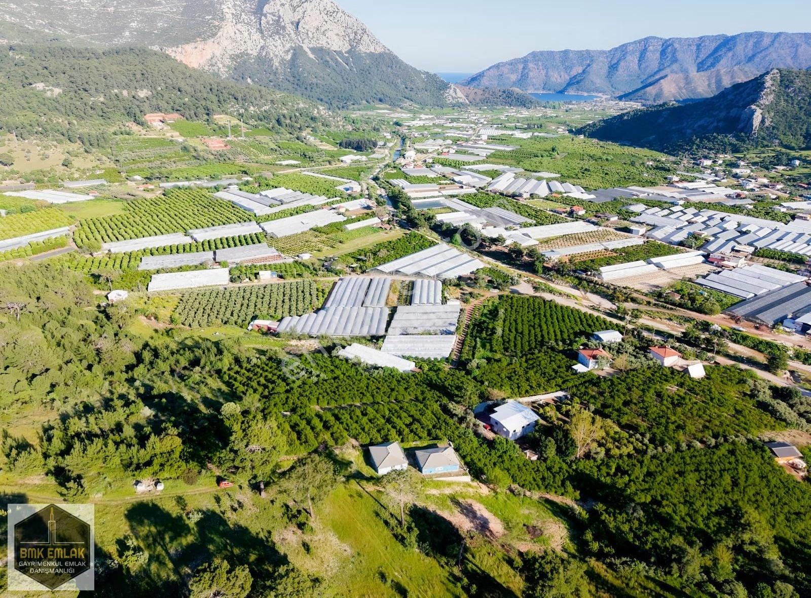 Bmkdan Adrasan'da Deniz Manzaralı 2 Ev + Nar Bahçesi Fırsatı