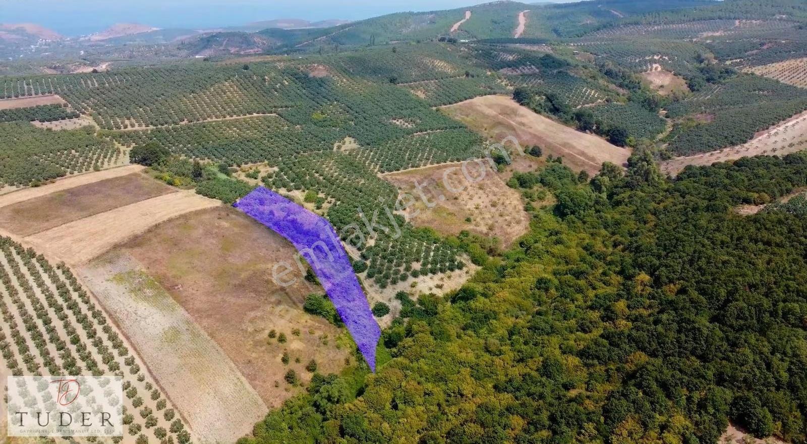 Tuder'den Bursa Mudanya Yalıçiftlikte Satılık 6.180 M² Tarla - Görsel 5