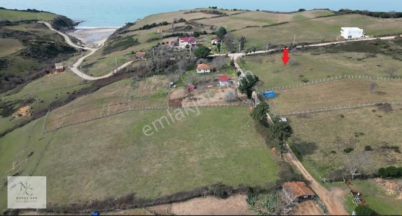 Sinop,abalı'da Konut İmarlı,deniz Manzaralı Satılık Tarla - Görsel 2