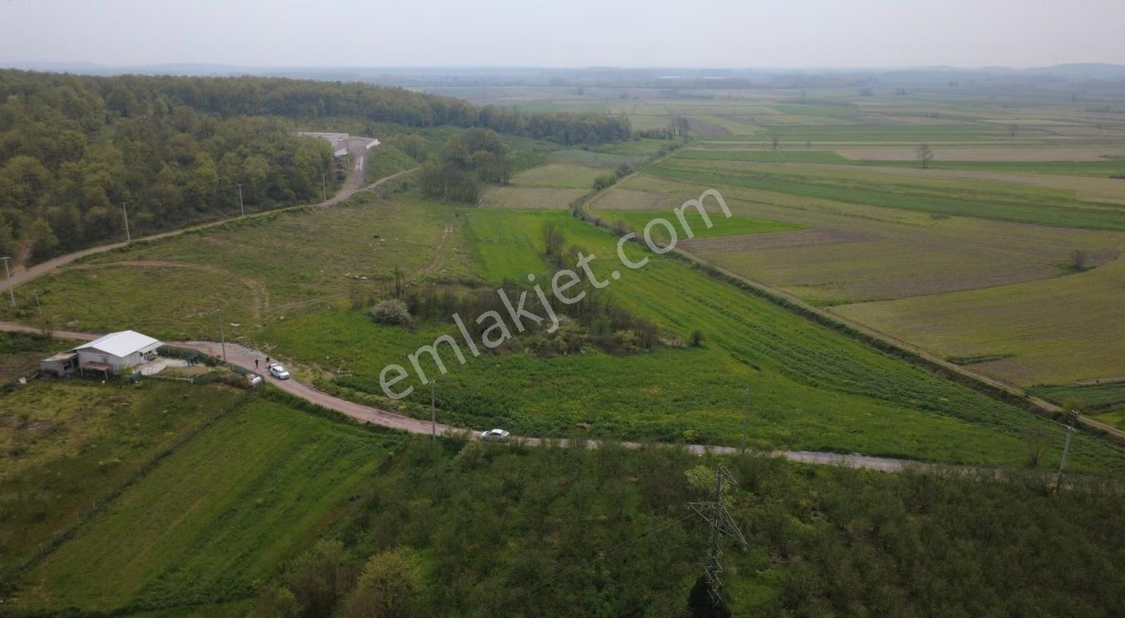 Yüksek Kazanç Potansiyelli Tavuk Çiftliğine Uygun 12.640 M²arazi - Görsel 3