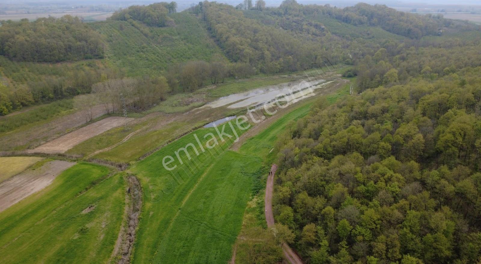 Satılık Yola Cephe7.246 M² Delisava Fındık Bahçesi Kaçmaz Fırsat