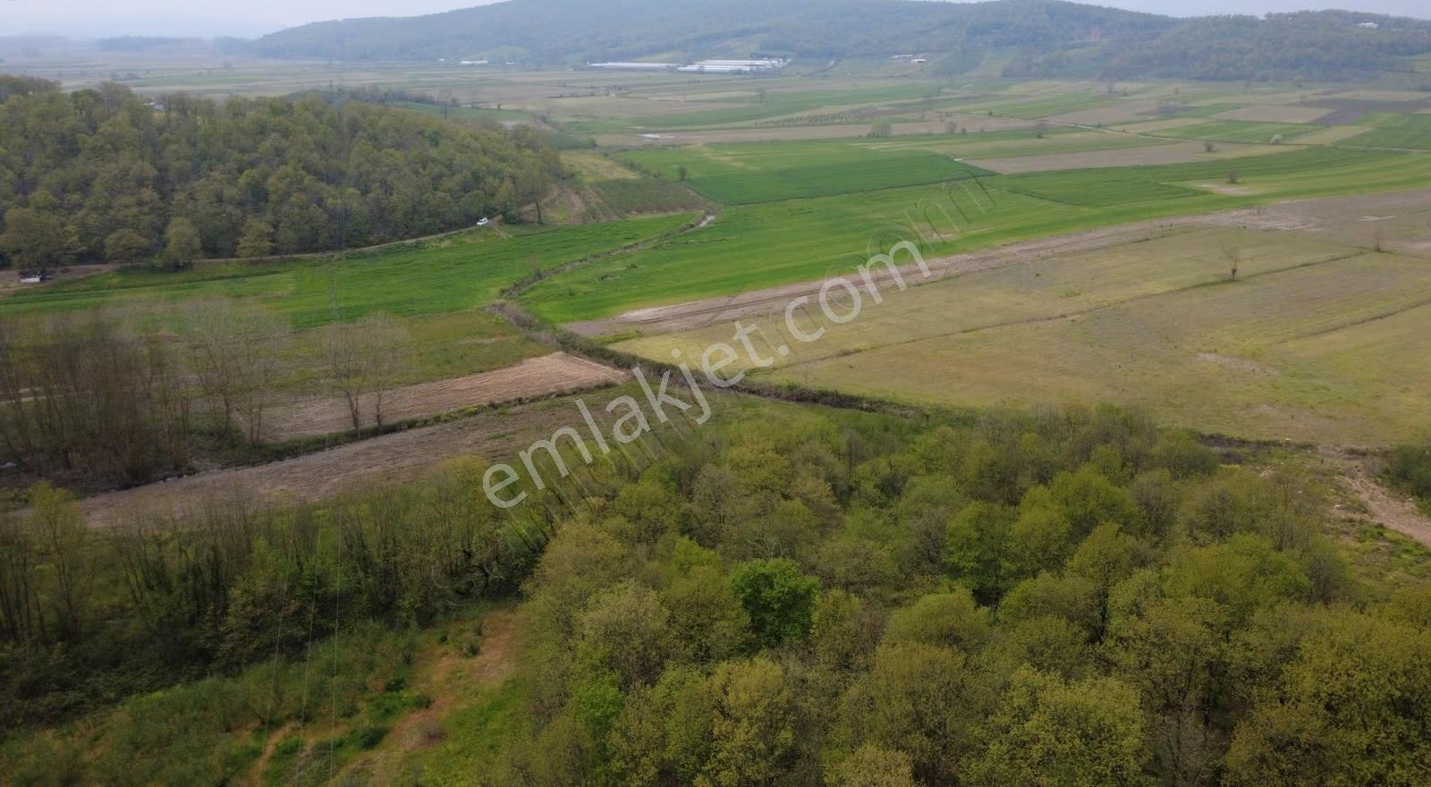 Satılık Yola Cephe7.246 M² Delisava Fındık Bahçesi Kaçmaz Fırsat - Görsel 5