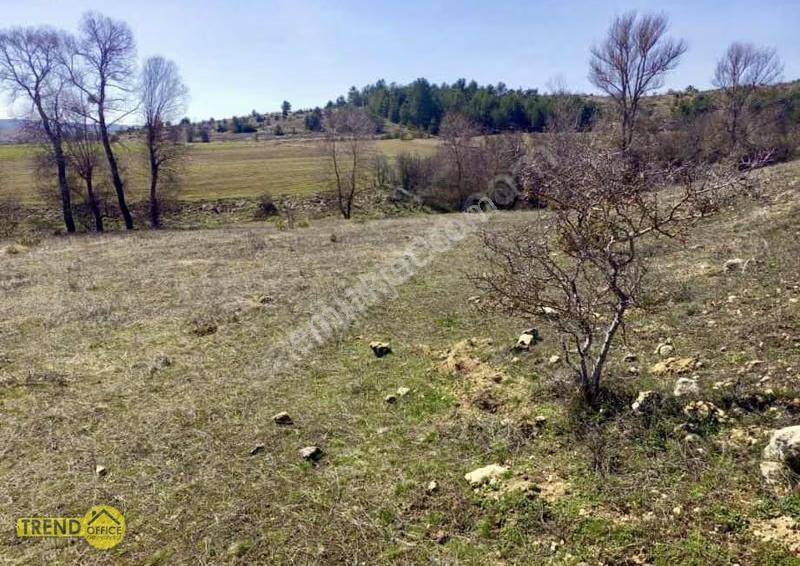 Kastamonu Devrekani Kınık Köyü 4490 M2 Satılık Tarla Dere Kenarı - Görsel 12