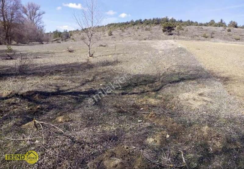 Kastamonu Devrekani Kınık Köyü 4490 M2 Satılık Tarla Dere Kenarı - Görsel 10