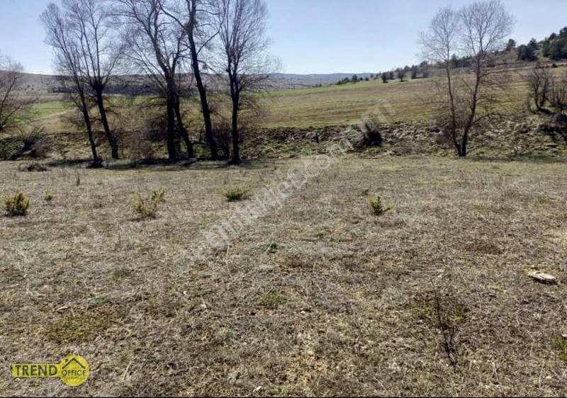 Kastamonu Devrekani Kınık Köyü 4490 M2 Satılık Tarla Dere Kenarı - Görsel 7