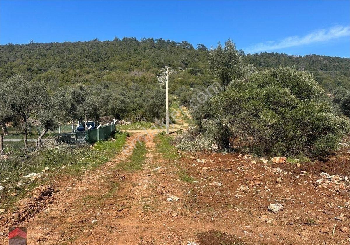 Didim Kardelen Mevki De Satılık Kelepir Arsa - Görsel 5