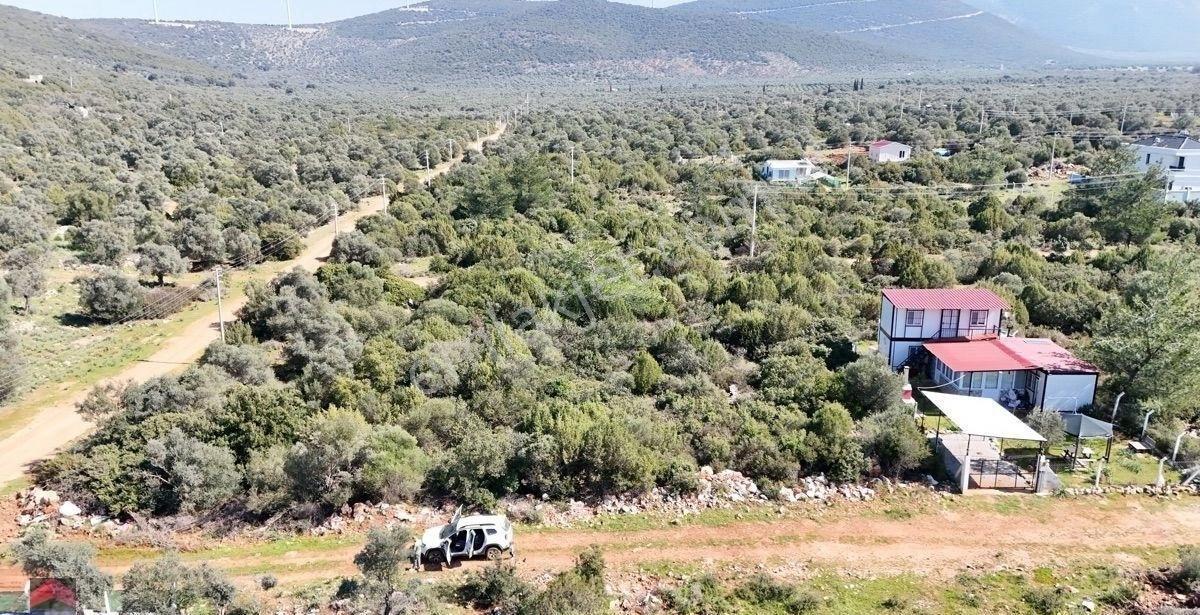 Didim Kardelen Mevki De Satılık Kelepir Arsa - Görsel 11