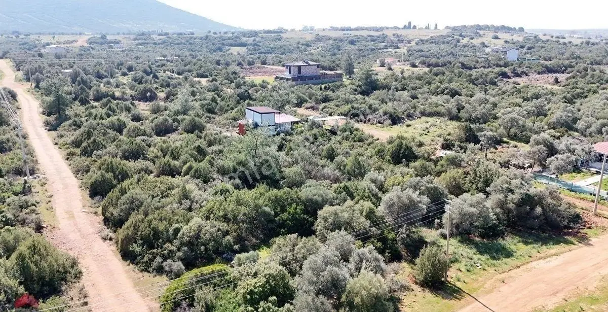 Didim Kardelen Mevki De Satılık Kelepir Arsa - Görsel 14