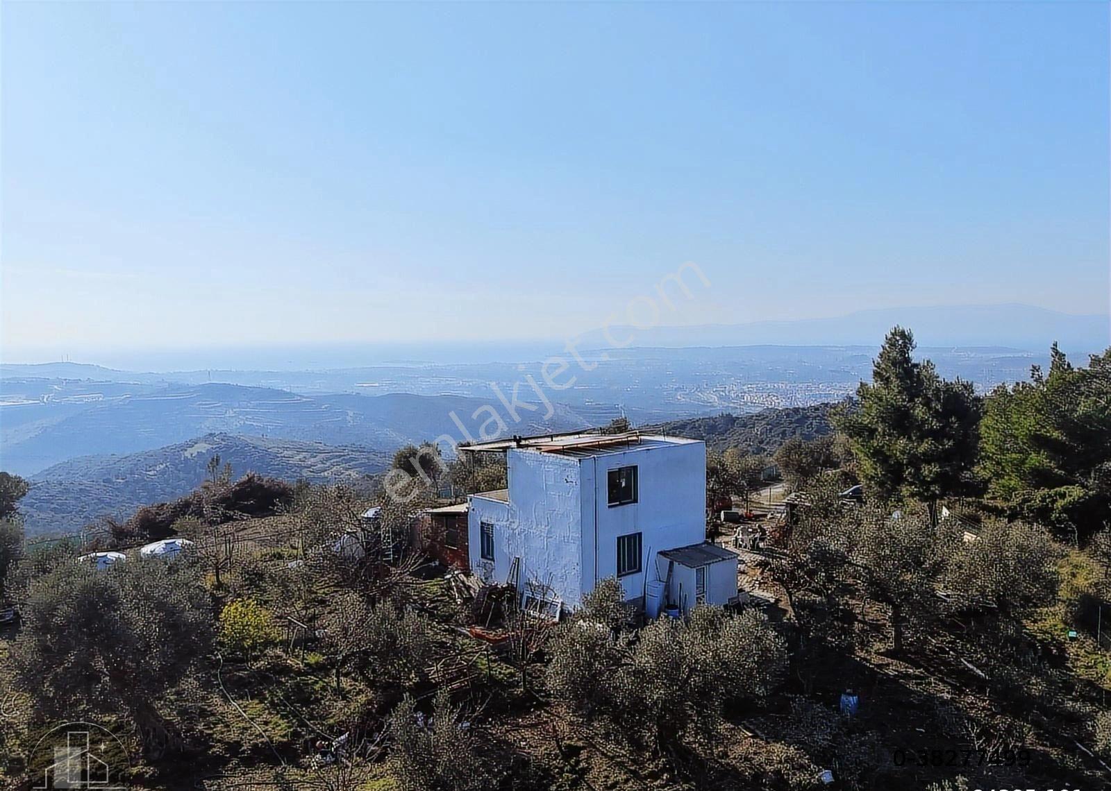 Seferihisar Turabiye'de 12.790 M² Deniz Manzaralı & Yapı Kayıtlı - Görsel 9