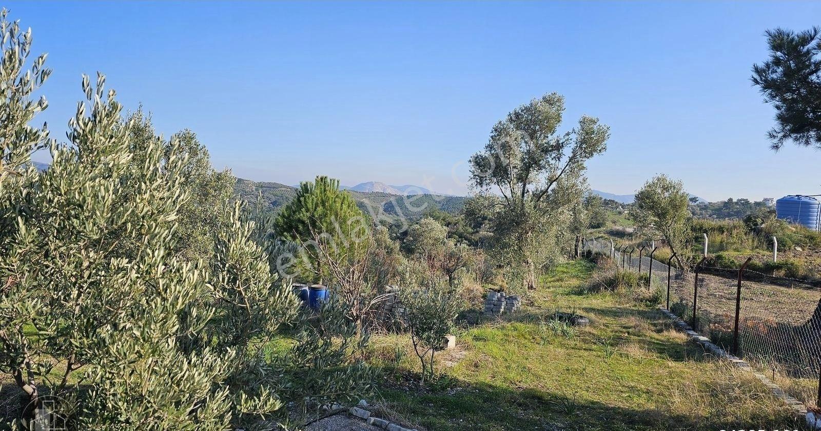 Seferihisar Turabiye'de 12.790 M² Deniz Manzaralı & Yapı Kayıtlı - Görsel 32
