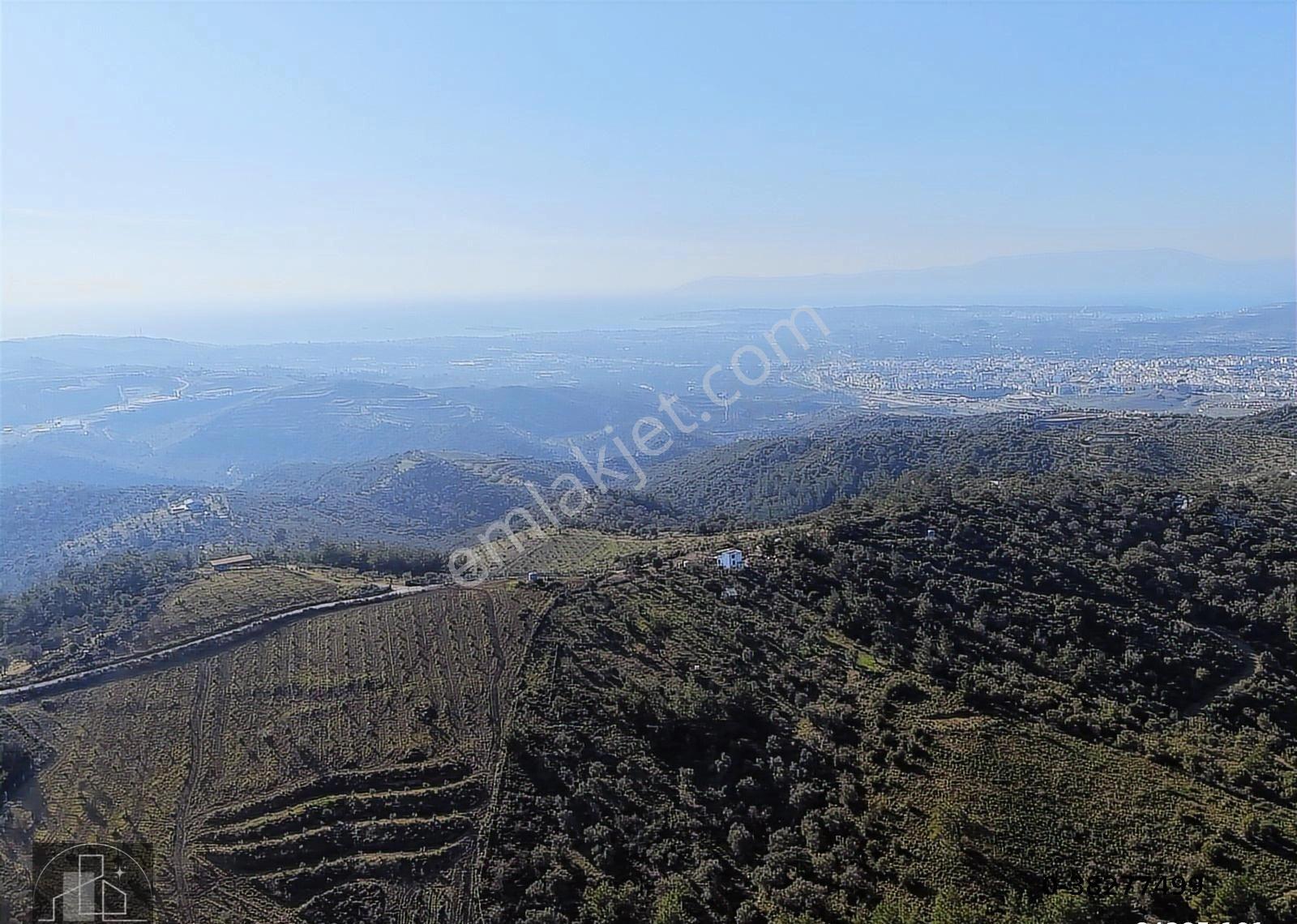 Seferihisar Turabiye'de 12.790 M² Deniz Manzaralı & Yapı Kayıtlı - Görsel 24