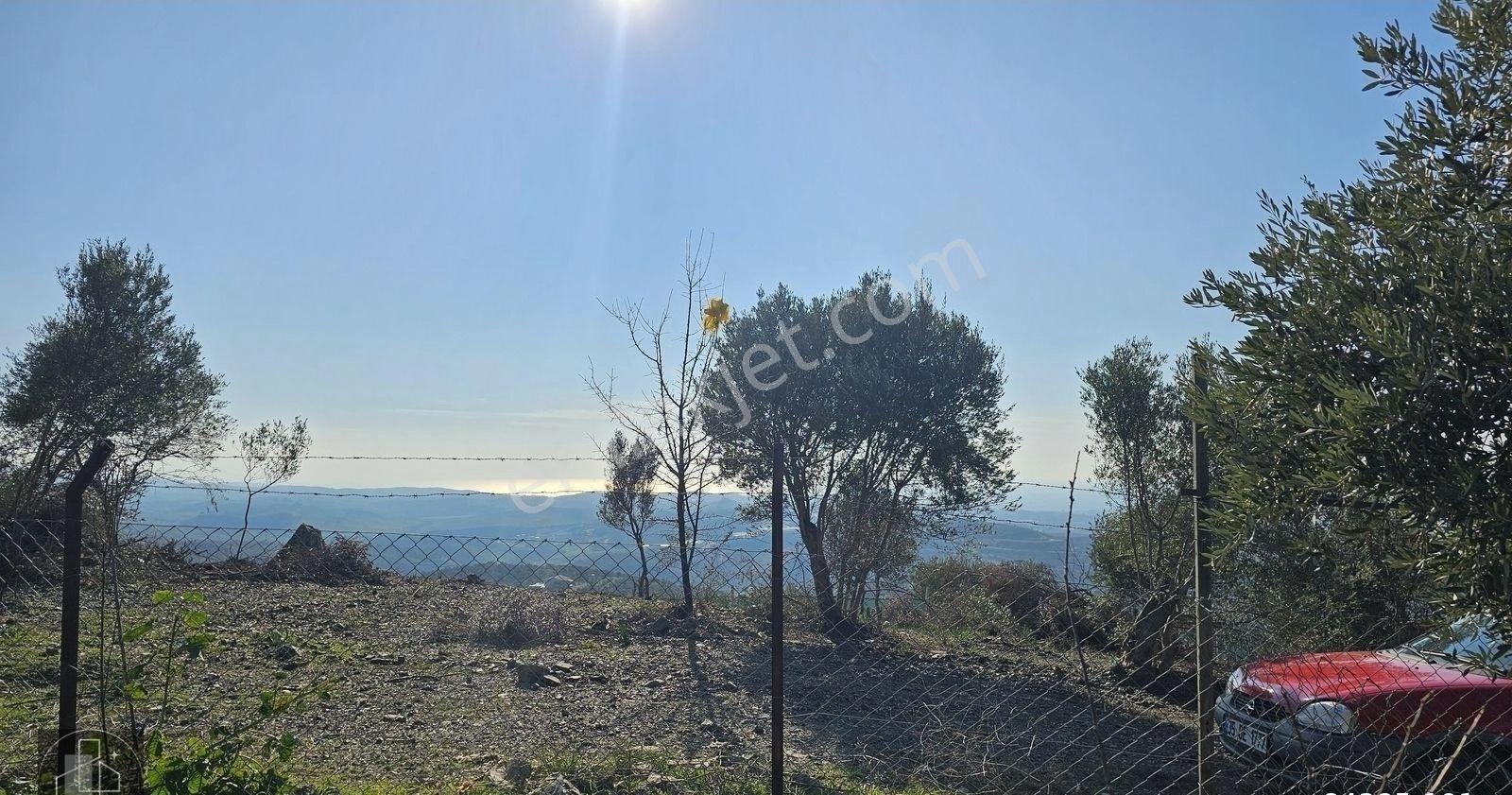 Seferihisar Turabiye'de 12.790 M² Deniz Manzaralı & Yapı Kayıtlı - Görsel 31