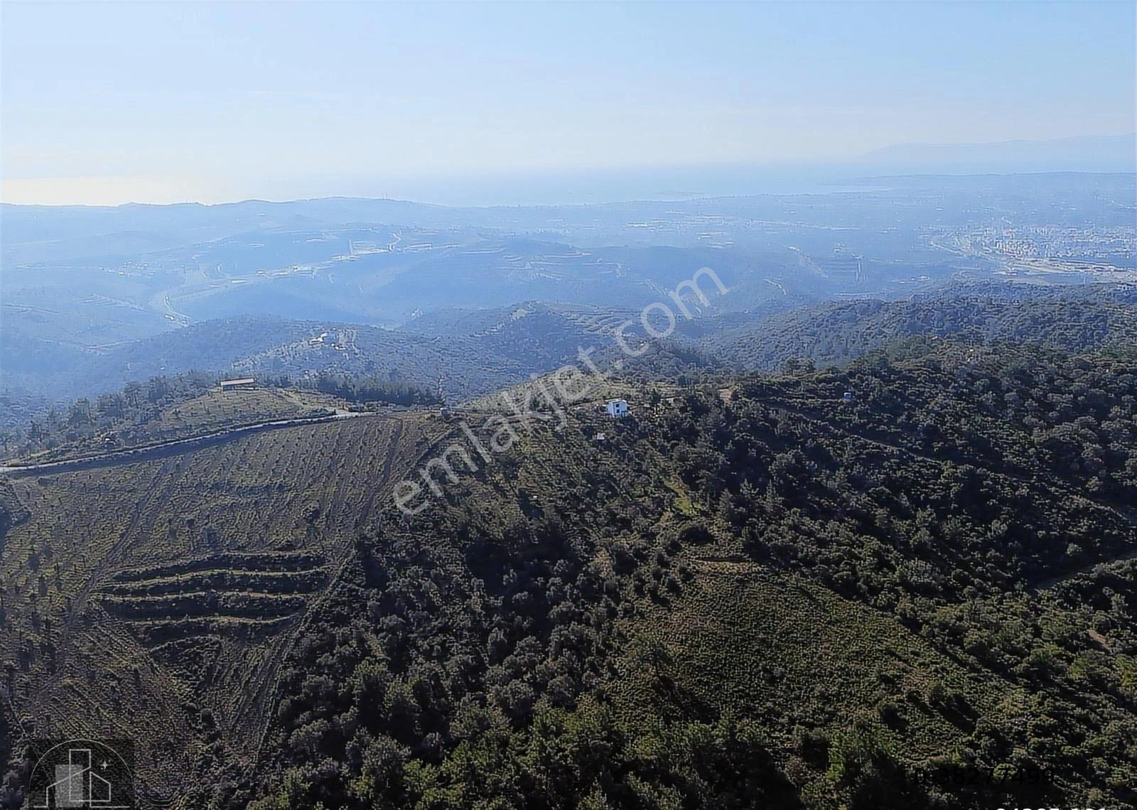 Seferihisar Turabiye'de 12.790 M² Deniz Manzaralı & Yapı Kayıtlı - Görsel 2