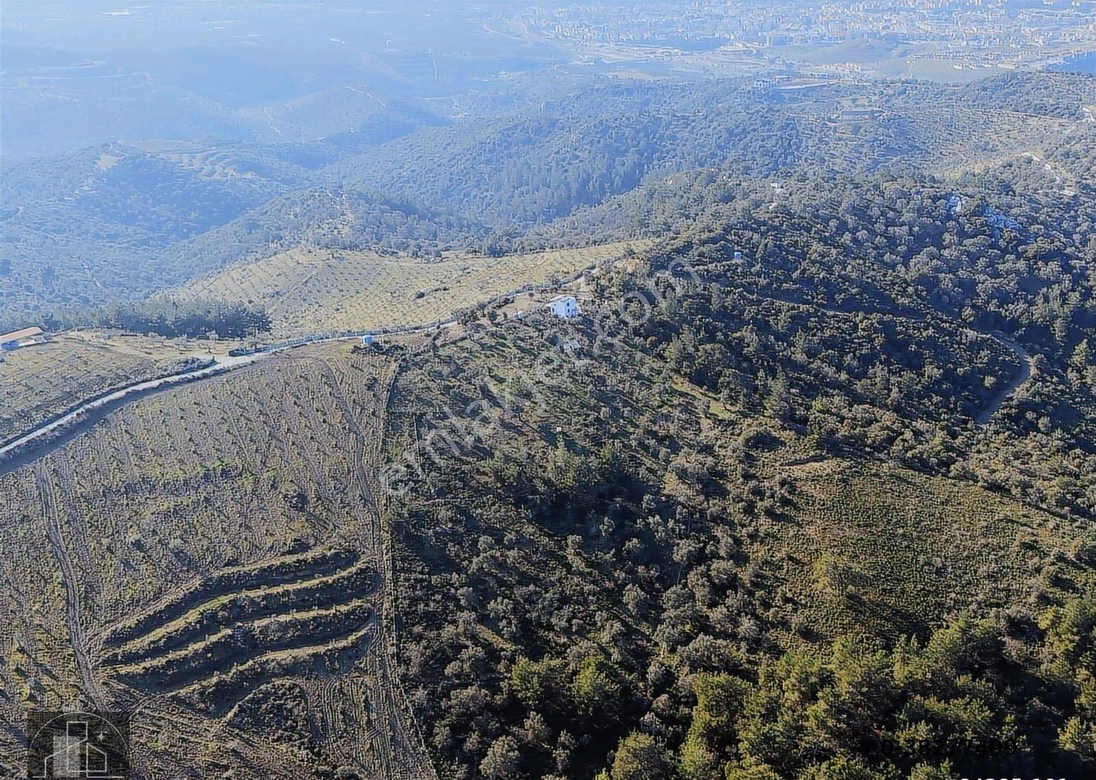 Seferihisar Turabiye'de 12.790 M² Deniz Manzaralı & Yapı Kayıtlı - Görsel 20