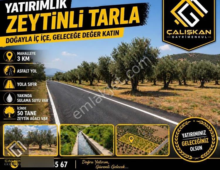 Asfalt Yol/yola Sıfır/yatırımlık/köye Yakın /müstakil Tapu