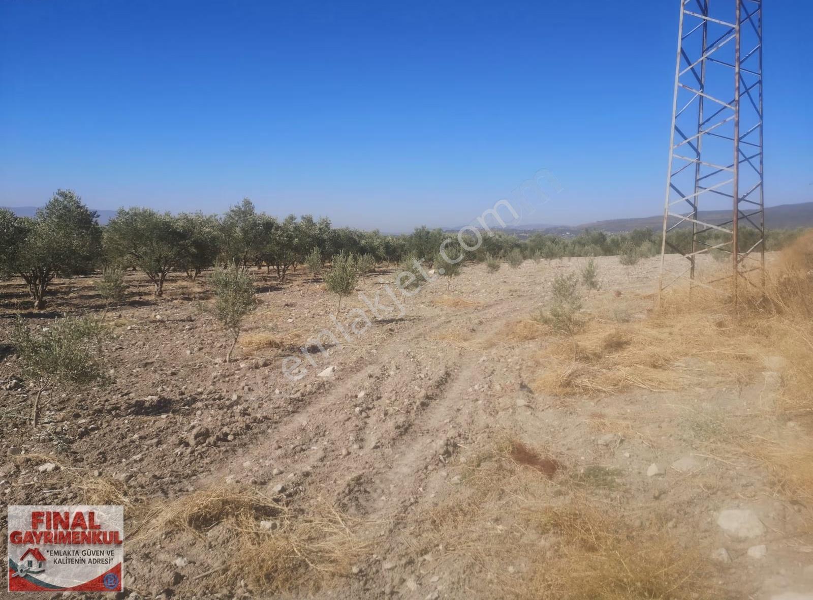 Karayenice Köyü 14.450 M2 Tarla - Görsel 6