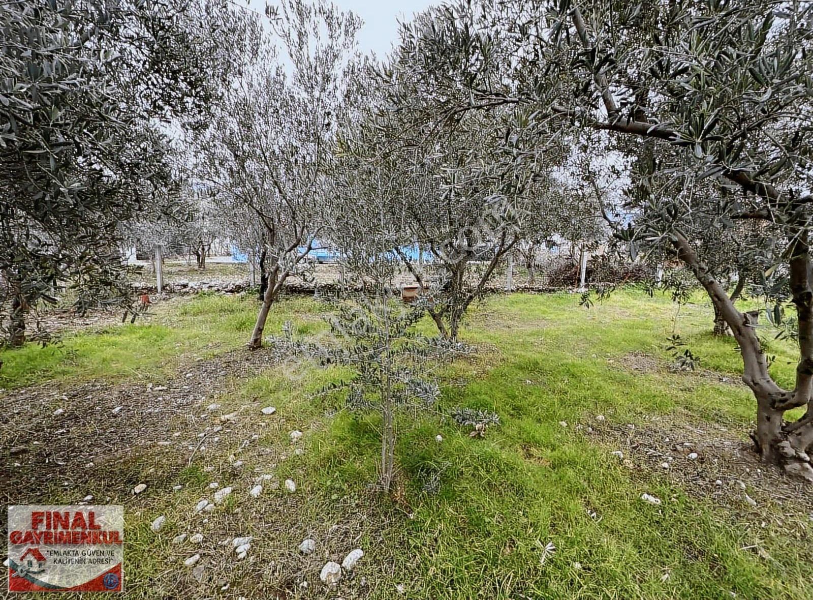 Sancaklıbozköy'de Köy İçi 207 M2 Satılık Arsa - Görsel 7