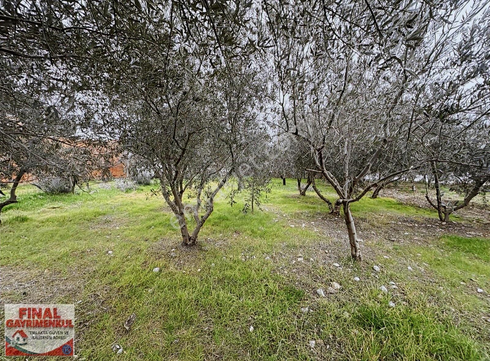 Sancaklıbozköy'de Köy İçi 207 M2 Satılık Arsa - Görsel 2