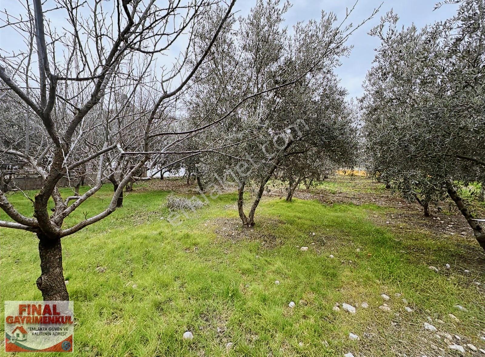 Sancaklıbozköy'de Köy İçi 207 M2 Satılık Arsa - Görsel 8