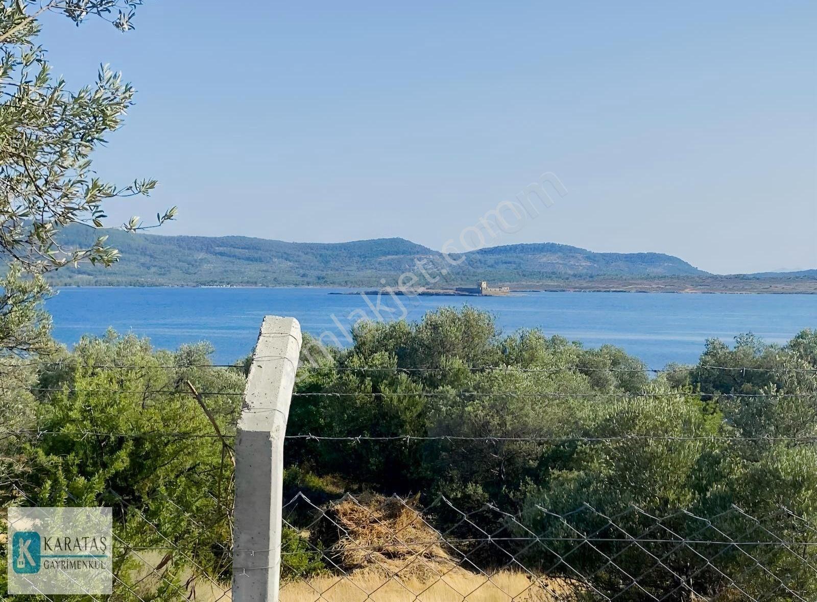 Cunda Adası | Pateriça Koyunda Deniz Manzaralı Zeytinlik - Görsel 22