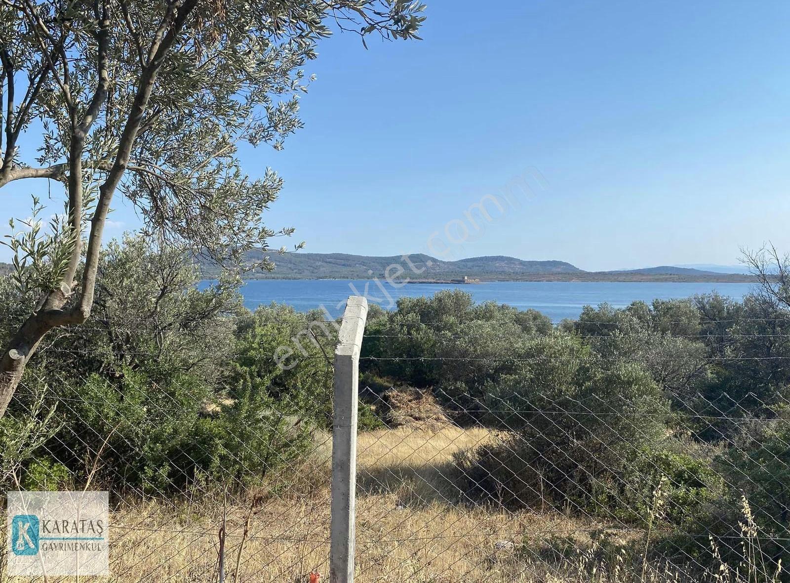 Cunda Adası | Pateriça Koyunda Deniz Manzaralı Zeytinlik - Görsel 24