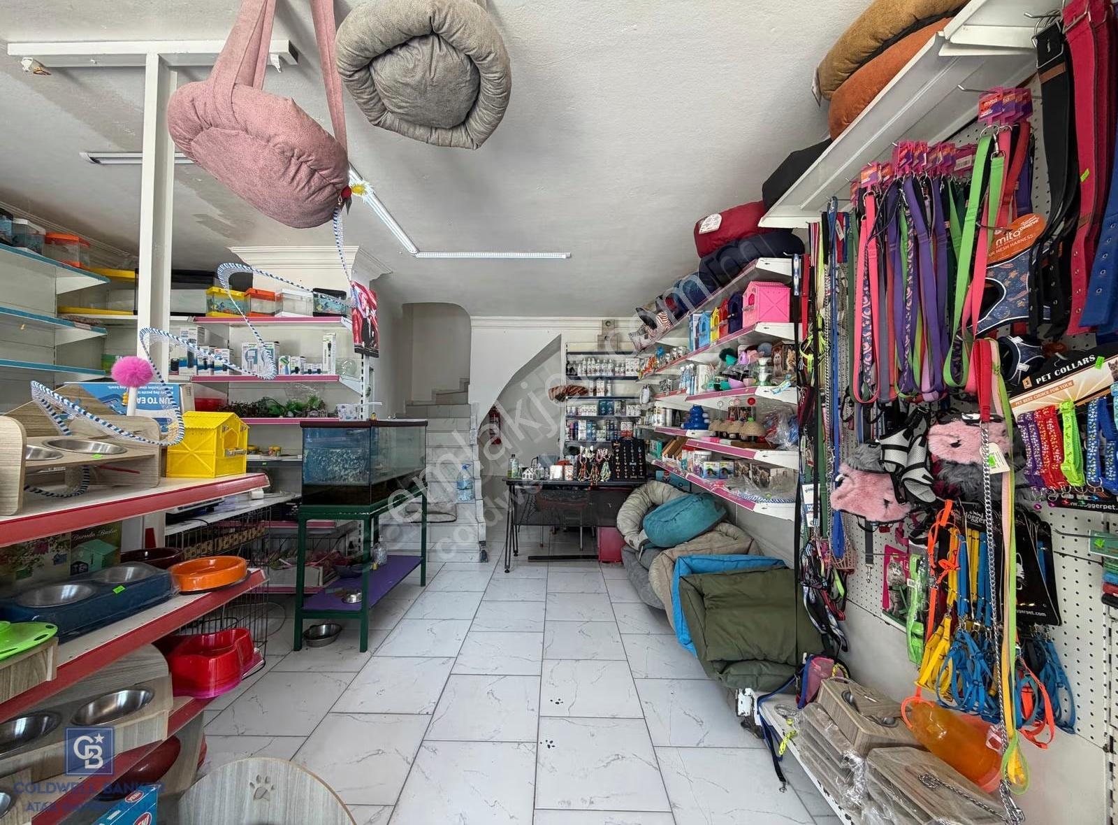 Merkezi Konumdaki Devren Kiralık Pet Market - Görsel 9