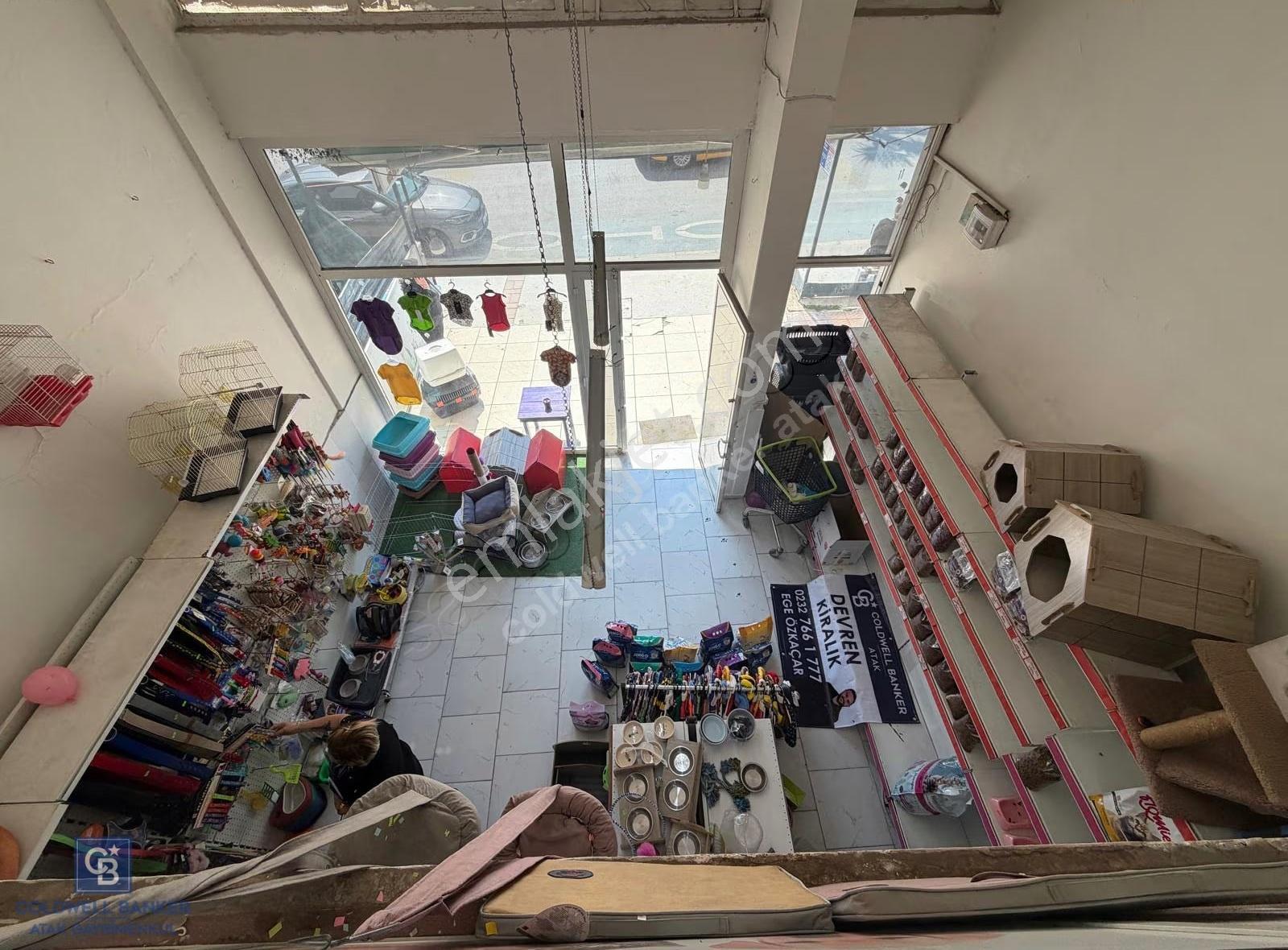 Merkezi Konumdaki Devren Kiralık Pet Market - Görsel 6
