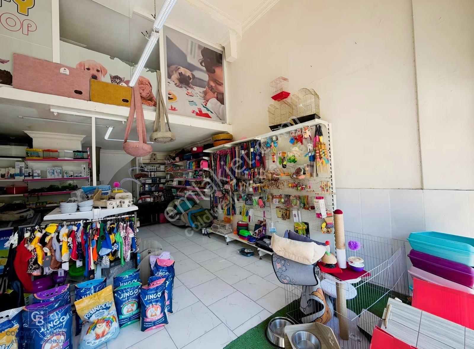 Merkezi Konumdaki Devren Kiralık Pet Market - Görsel 7