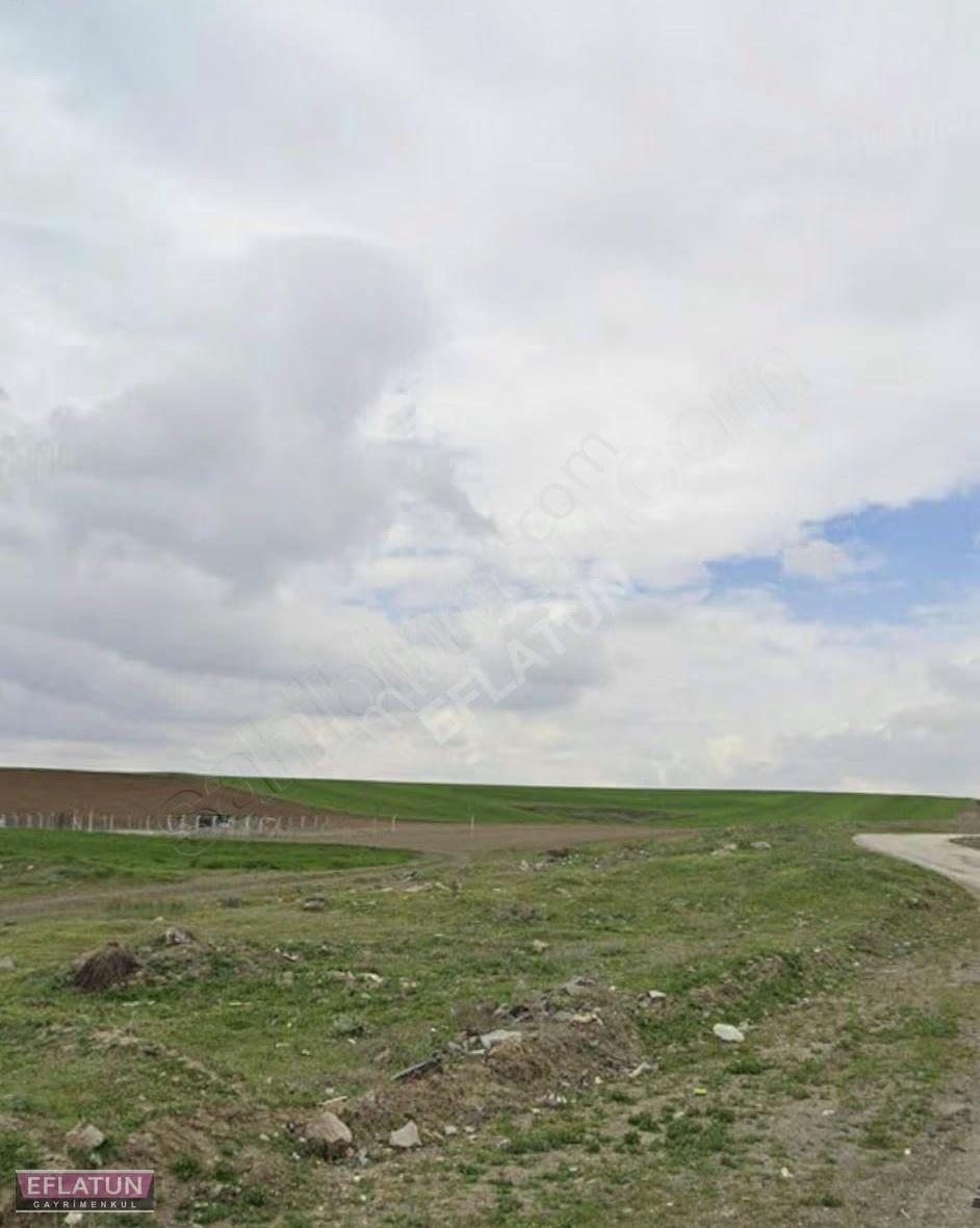 Eflatun Dan Pursaklar Saray Da Villa Arsası - Görsel 6